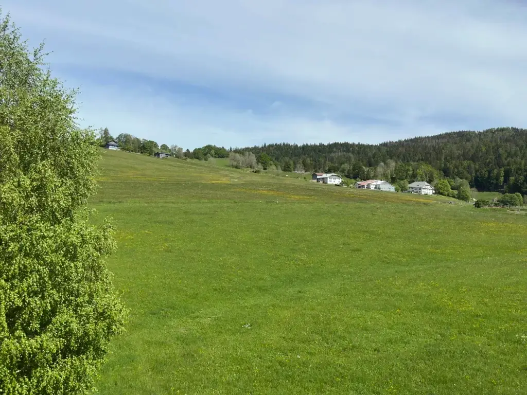 Appartement avec vue dégagée sur le lac de Joux